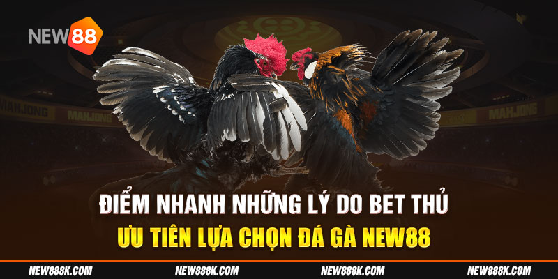 Điểm nhanh những lý do bet thủ ưu tiên lựa chọn đá gà tại nhà cái New88