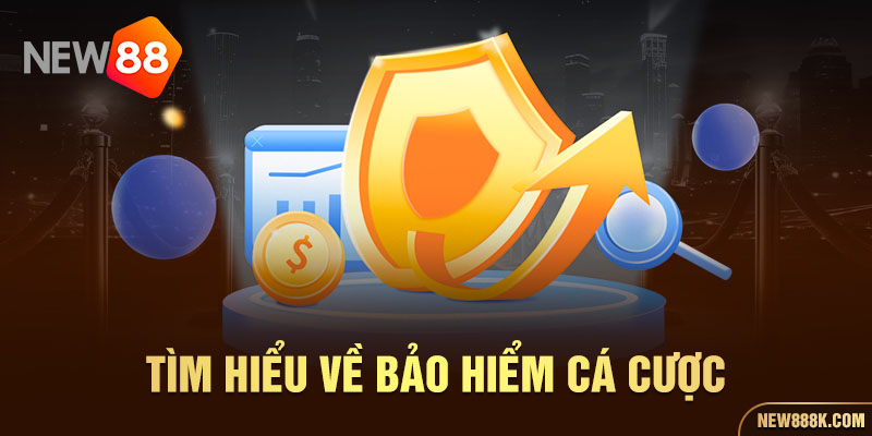 Tìm hiểu về bảo hiểm cá cược