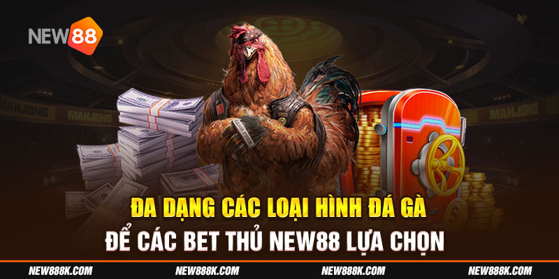 Đa dạng các loại hình đá gà để các bet thủ New88 lựa chọn