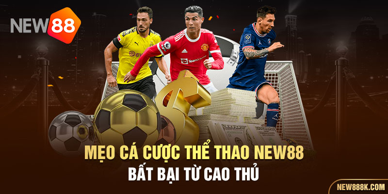 Mẹo cá cược thể thao New88 bất bại từ cao thủ