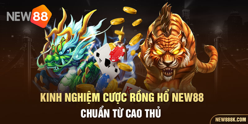 Kinh nghiệm cược Rồng Hổ NEW88 chuẩn từ cao thủ