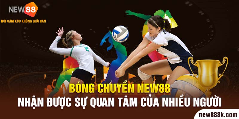 Bóng chuyền New88 nhận được sự quan tâm của nhiều người