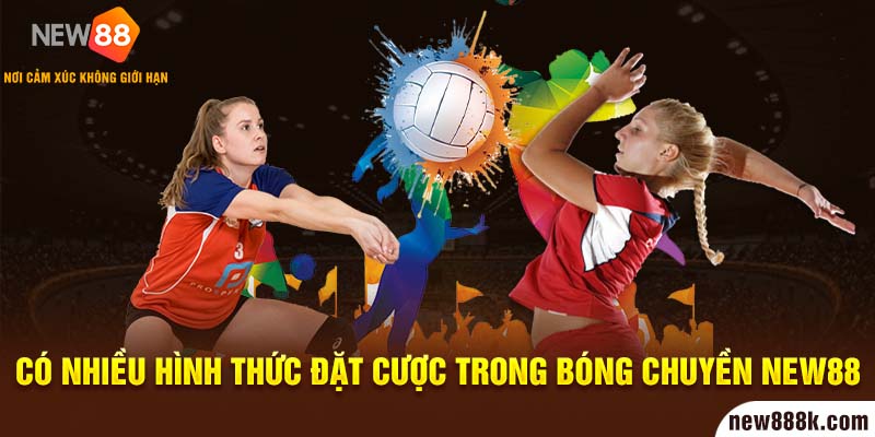 Có nhiều hình thức đặt cược trong bóng chuyền New88