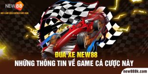 đua xe new88 những thông tin về game cá cược này