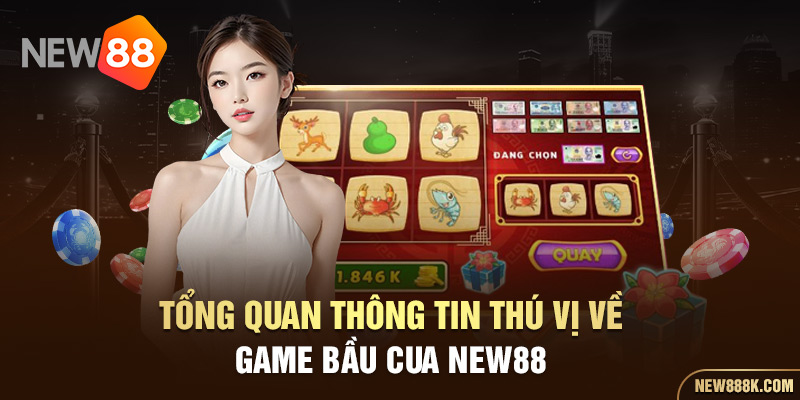 Tổng quan thông tin thú vị về game Bầu Cua NEW88